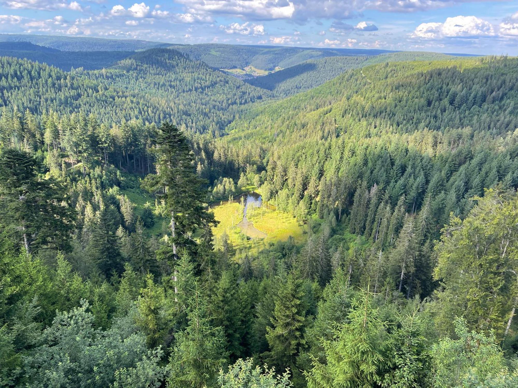 Casa Black Forest - Freudenstadt Kniebis Екстериор снимка